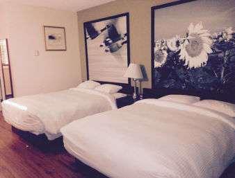 ซูเปอร์ 8 บาย วินด์แฮม สโม้กกี้ เลก Hotel Smoky Lake ห้อง รูปภาพ